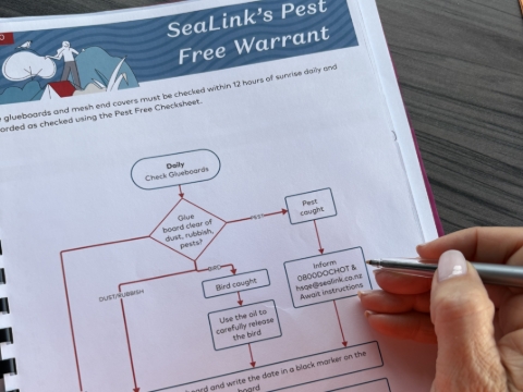 <h3>If a pest is caught</h3><ul><li><p>Follow the steps in the flowchart (see page 3).</p></li></ul><p></p>