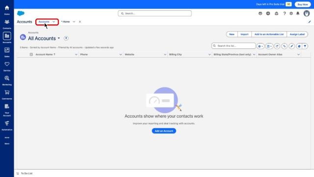 <p>Open the Accounts tab in the navigation bar to see the list of all accounts.</p>
