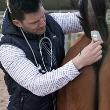 <p>ATTACHING A TAILTAB™ SENSOR TO A HORSE</p><ul><li style="font-family: Roboto, "Segoe UI", GeezaPro, "DejaVu Serif", sans-serif, -apple-system, BlinkMacSystemFont; font-size: 20px;"><span style="font-family: Roboto, "Segoe UI", GeezaPro, "DejaVu Serif", sans-serif, -apple-system, BlinkMacSystemFont; font-size: 20px; text-align: inherit;">The TailTab™ Sensor attaches at the base of the tail directly behind the rectum.</span></li><li style="font-family: Roboto, "Segoe UI", GeezaPro, "DejaVu Serif", sans-serif, -apple-system, BlinkMacSystemFont; font-size: 20px;"><span style="text-align: inherit;">The ergonomic shape of the TailTab™ Sensor is designed to fit comfortably at this location</span></li><li style="font-family: Roboto, "Segoe UI", GeezaPro, "DejaVu Serif", sans-serif, -apple-system, BlinkMacSystemFont; font-size: 20px;"><span style="text-align: inherit;">The adhesive tape is non-irritant and is designed to hold the sensor in place for several days.</span></li></ul><p><br></p>