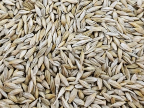 <p>Feed up to 2 kg of concentrate per calf per day.<br></p>