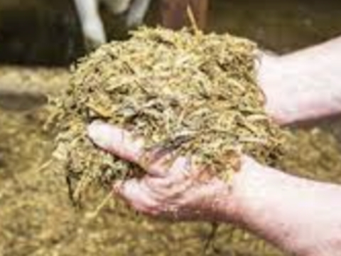 <p>Calf starter meal (19% CP; 12,6 MJ/kg DM), good quality hay and water must be available after the first week.<br></p>