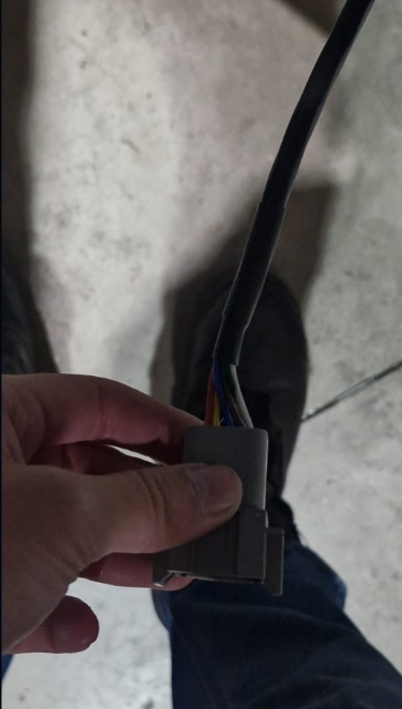 <p>Loom connected to the deutch plug.</p>