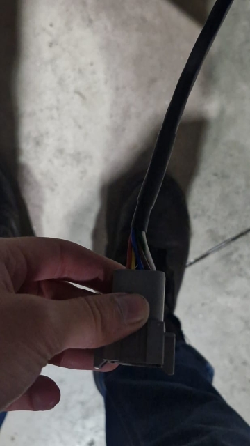 <p>Loom connected to the deutch plug.</p>