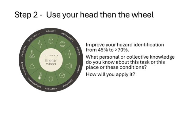 Use your best efforts to identify the hazards in your environment and your task. You'll get close to half. Then use your Energy Wheel to see what else might be hidden that could hurt you.
You or the team may have some knowledge about this task or place or time. Maybe it's a block with angled rows, maybe it's been raining recently and the creek is overflowing. Maybe the floor is often slippery here. How will you use that knowledge?