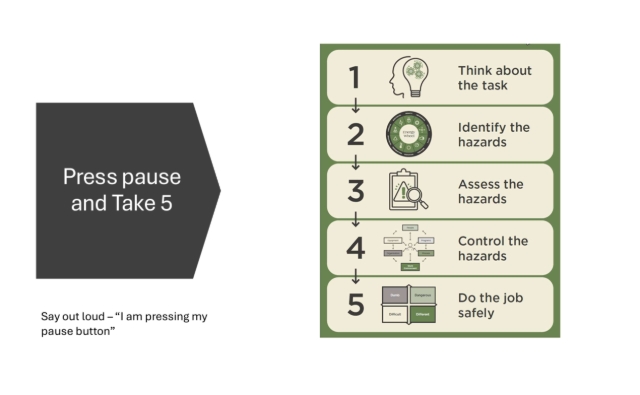 When we do a Take 5 we access System 2 by saying out loud "I am pressing my pause button" and touching our imaginary pause button on our wrist.