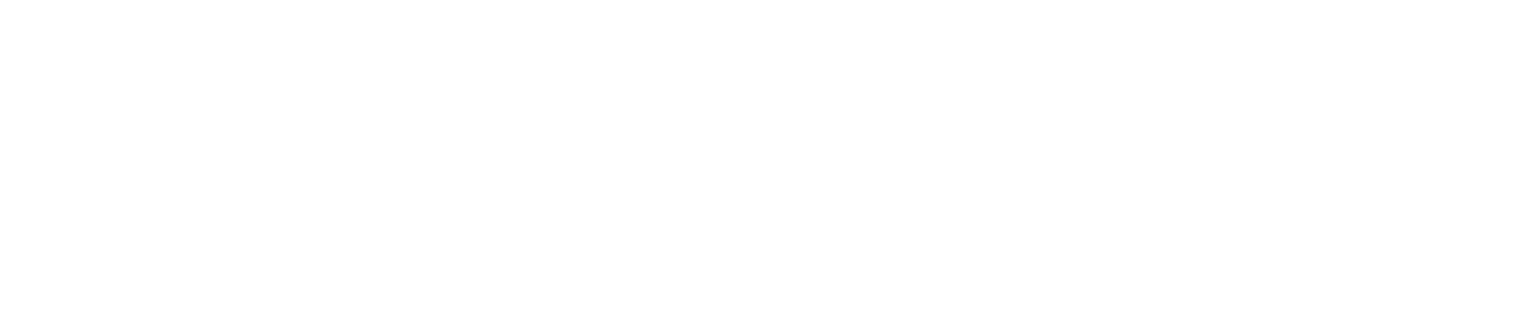 Organisation Logo