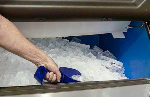 <p>Empty the ice bin. Use an ice scoop to remove all ice from the storage bin.</p>