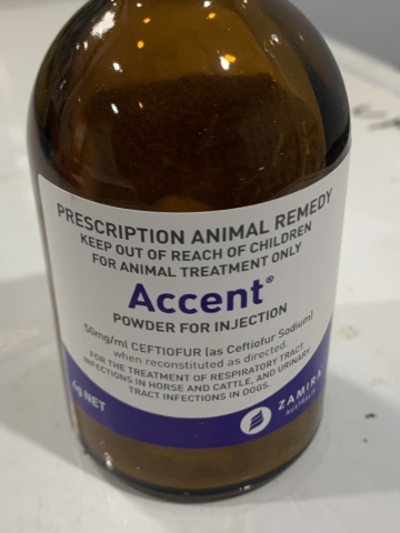 <p>Accent is 50mg /ml ceptiofur.</p><p>A metricure has 500mg so you need 10ml per cow.</p><p>A bottle will treat 10 cows.</p>