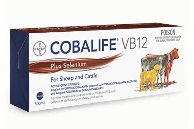 <p>Ensure all vaccines are given at the correct time.</p><p>Selenium ( I prefer SeB12) needs boosted pre calving for both the immune system and to reduce retained membranes.</p><p>Give this to the whole herd when you create your first springer mob (unless you know your late calvers) and give a second shot to those that haven’t calved 5 weeks later.</p>