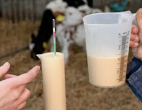 <p>It's critical for calf health calves receive minimum 10% of body weight as close to within the first 12 hours of life. </p><ul><li><p>20 kg = 2 L </p></li><li><p>30 kg = 3 L</p></li></ul><p></p>