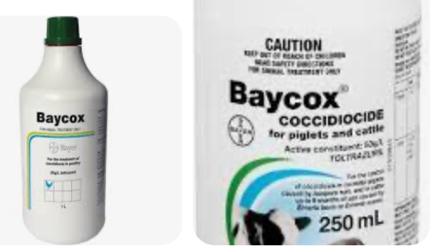<p>Feeding a coccidiostat in your grain will help combat coccidia but in the face of an outbreak use Baycox. A single dose oral treatment for use up to 9 months of age. 3ml per 100kg. Withhold meat 56 days.</p>