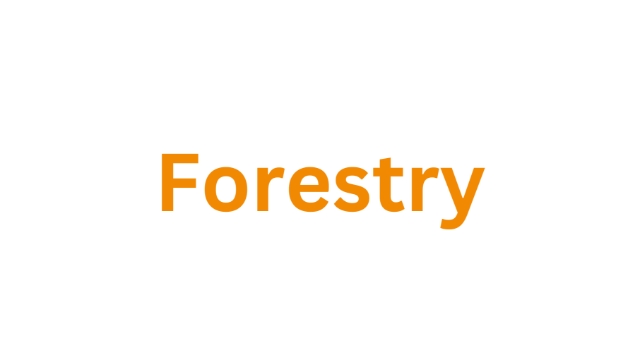 <p><strong>Forestry</strong></p><p></p><p>Metric sizing:</p><p>Enter the tyre size without any “/” or “X”. Add a “R” between the aspect ratio and the rim size it is a radial tyre and a “-‘ if it is x-ply of bias ply. Then add the rim size. Then add the model and tread pattern of the tyre (not BRAND) without spaces. The final product code should look something like this: 78050-28.5T480</p><p></p><p>Imperial Sizing:</p><p>Add the size in inches using a point EG. 30.5, then the “R’ for radial or “-‘ for x-ply or bias ply, then rim size EG.32. The rim size must show a point if it is a half size eg. 26.5. Some forestry sizes show a “L’ in the sizing, this 'L' designates low-profile tyre and no aspect ratio is shown. Then add the model and tread pattern of the tyre (not BRAND) without spaces. The final product code should look something like this: 30.5L-32MS931</p><blockquote><p>Note: All letters in the product code should be in capitals</p></blockquote><p></p>