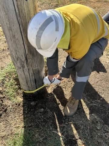 <p>Measure the girth of the pole at the widest point. </p>