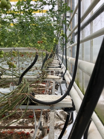 <p>Repeat this process bay by bay until the required rear gutter support rails have been lowered.&nbsp;</p>