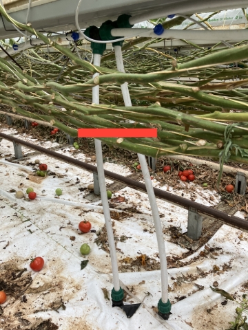 <p>Use approved equipment to trim down irrigation risers and re-plumb. </p>