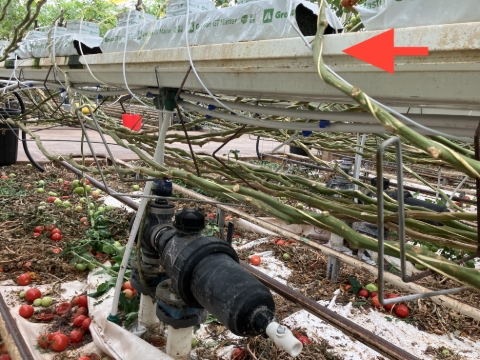 <p>Cut back grow gutters at areas where the irrigation valve riser creates an obstruction for lowering. Use a 5” cutting wheel to safely perform the cut and secure the end cap back to the end of the gutter</p>