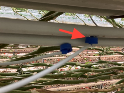 <p>Install extra required drippers/compensators prior to any lowering activities. </p>