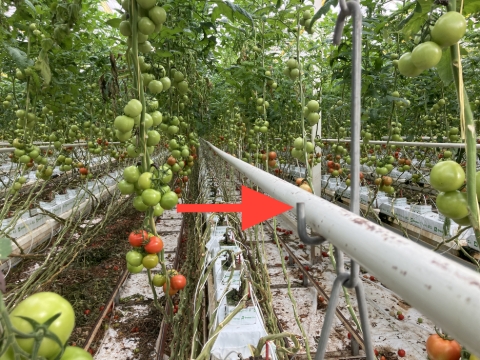 <p>In a team, carefully lift sections of the grow pipe off the grow pipe bracket. Slowly and gently place the grow pipe on the floor plastic. </p>