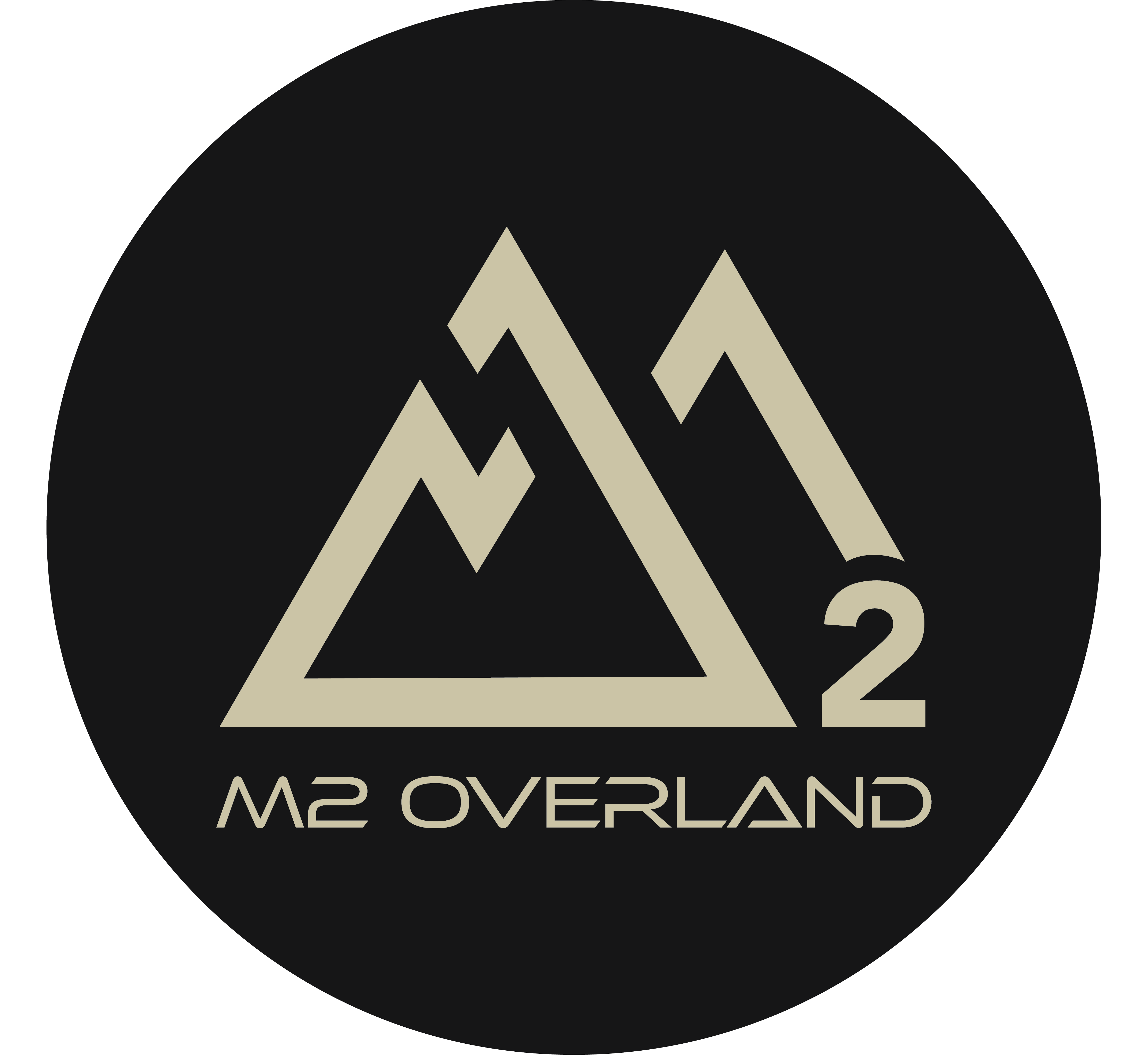 Organisation Logo