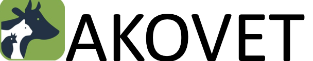 Organisation Logo
