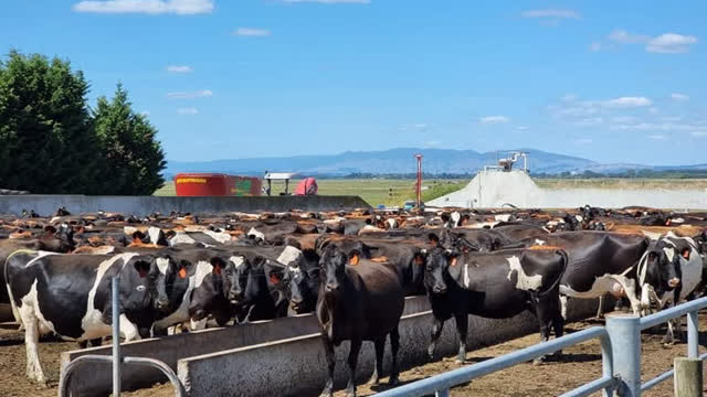<p>Animal health and immunity is important as healthy cows will fight off infections and they will not become clinical. But do note that if we wait for the cow to clear up the pathogen penetration by herself, we already have spike in somatic cells and a drop in milk yield.</p>