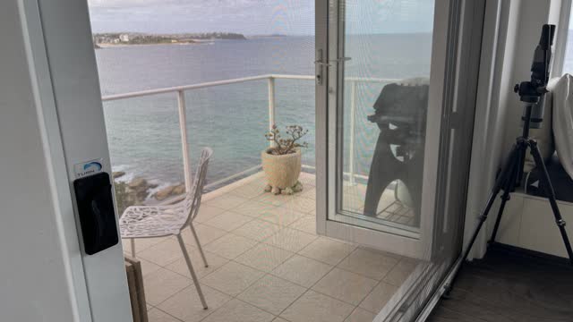 <p>The cats aren’t allowed on the balcony in case they try to jump for a bird and end attempting to fly down 6 storeys - please keep the screen closed if the doors are open</p>