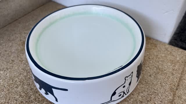 <p>1st thing each morning put new water in their bowl</p>