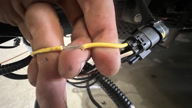 <p>On the Tray/Canopy side, strip back the yellow (indicator) wire as shown.</p>
