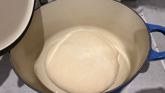<p>Put in a warm cupboard for 3 hours. It will double or triple in size</p>
