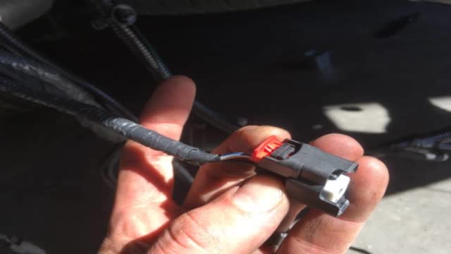 <p>Identify and trim the vehicles license plate harness</p>