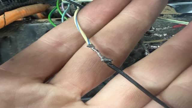 <p>Thin black (it will be twisted up with the thin brown) to light yellow with a blue stripe</p>