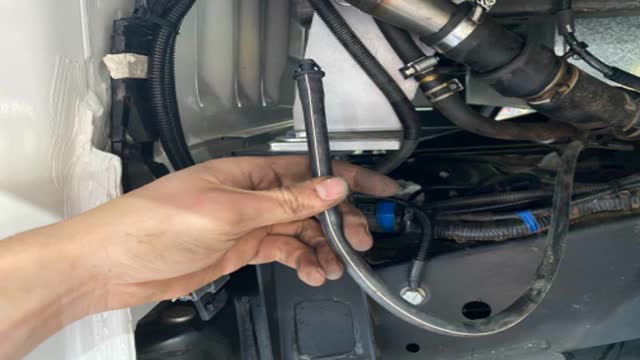 <p>Identify the differential breather</p>