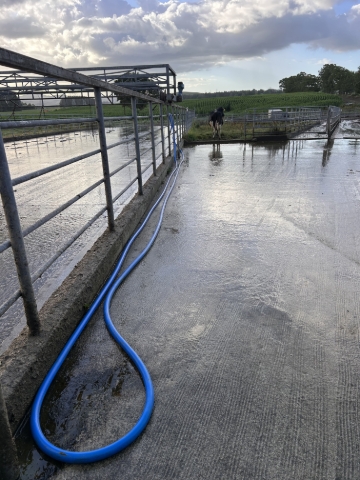 <p>put the hose away neatly to the side this will ensure it does no kink when the next person goes to use it and helps avoids anyone tripping on it </p><p>hang the hose it the rail so the cows don’t step on the nozzle </p>