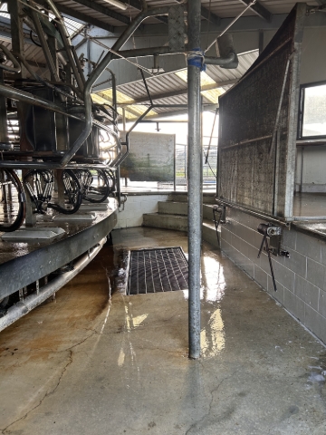 <p>give it a quick rinse using the inside hose, this is the standard you should clean to. </p>