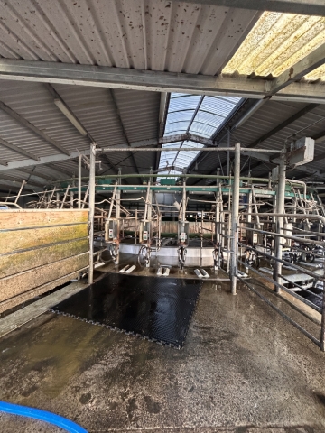 <p>hose out the platform exit - ensure it’s clean and tidy like the picture when you finish </p>