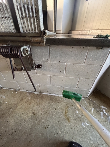 <p>give the walls a quick scrub using the broom, a little every day keeps it clean and tidy </p>