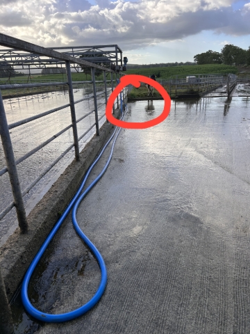 <p>walk to the tap located half way down the exit race </p>