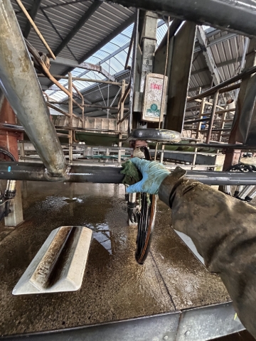 <p>assist at cups off wipe the rails using the cloth beside the AI platform cups off to half way. </p>