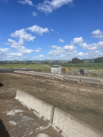 <p>At the End of the feed pad is the control room/shed inside there there will be a switch board </p>