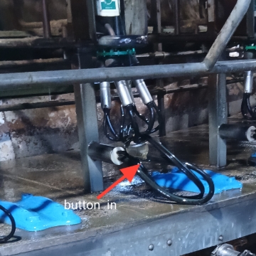 <p>Clean dairy platform and milking cups . </p><p>Push cups in jetties. </p><p>Don't tangle hoses </p><p>Buttons on claw bowls must be pushed in </p>