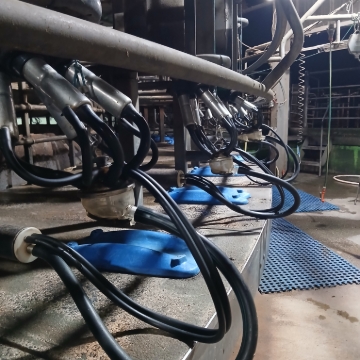 <p>Finish cleaning dairy </p>