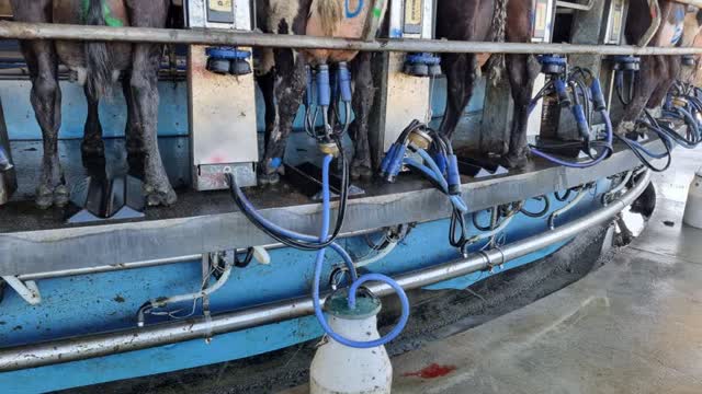 <p>For instructions on test bucket use, go to this knowby-
https://knowby.pro/knowby/view/3f41d371-5c5c-4516-bcd7-d3bec2d348ef</p>