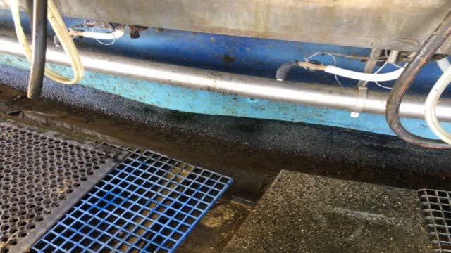 <p>After a lap make sure there is no milk in the drain below the rotary.</p>