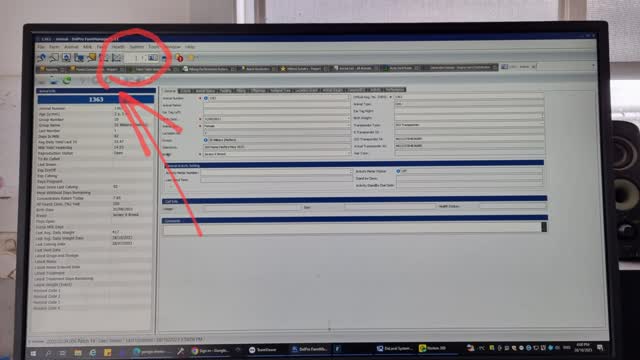 <p>On the dairy office computer, click the mouse on the white window, top left side of screen</p>