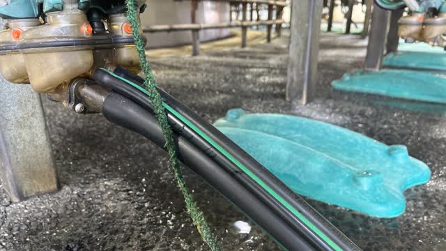 <p>Worn cup string.</p>
<p>Replace before it breaks.</p>