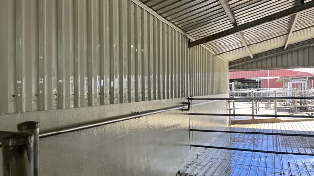<p>Wash down walls and floor of AI shed, removing all manure, dirt and sand. Post photo on WhatsApp.</p>