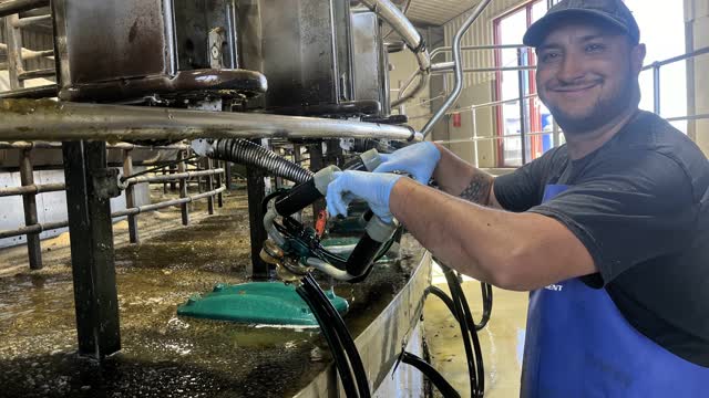 <p>Clusters are not functioning properly.</p>
<p>Vacuum and pulsation check must be completed before the start of milking. If you suspect a cluster is not working during milking; test vacuum and pulsation. If repairs cannot be completed contact your supervisor immediately.</p>