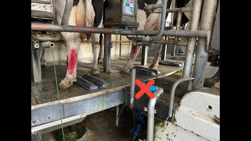 <p>DO NOT let go of the teat once you start cleaning to finishing with apply treatment.</p>