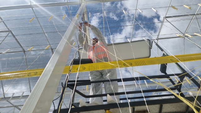 <p>Install the receiver 400mm above the wire and install marker ribbon</p>