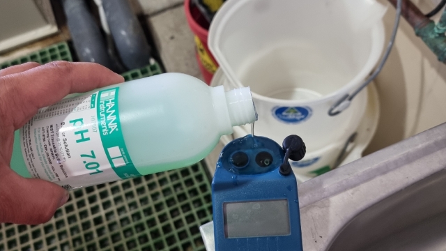 <p>Fill cell cup with 7.0 buffer solution</p>